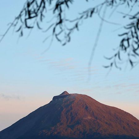 Cantinho Dos Cagarros 拉日什杜皮库 外观 照片